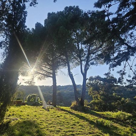 Casa Rural Camino De Hierro I Y II Ла-Фрехенеда Экстерьер фото