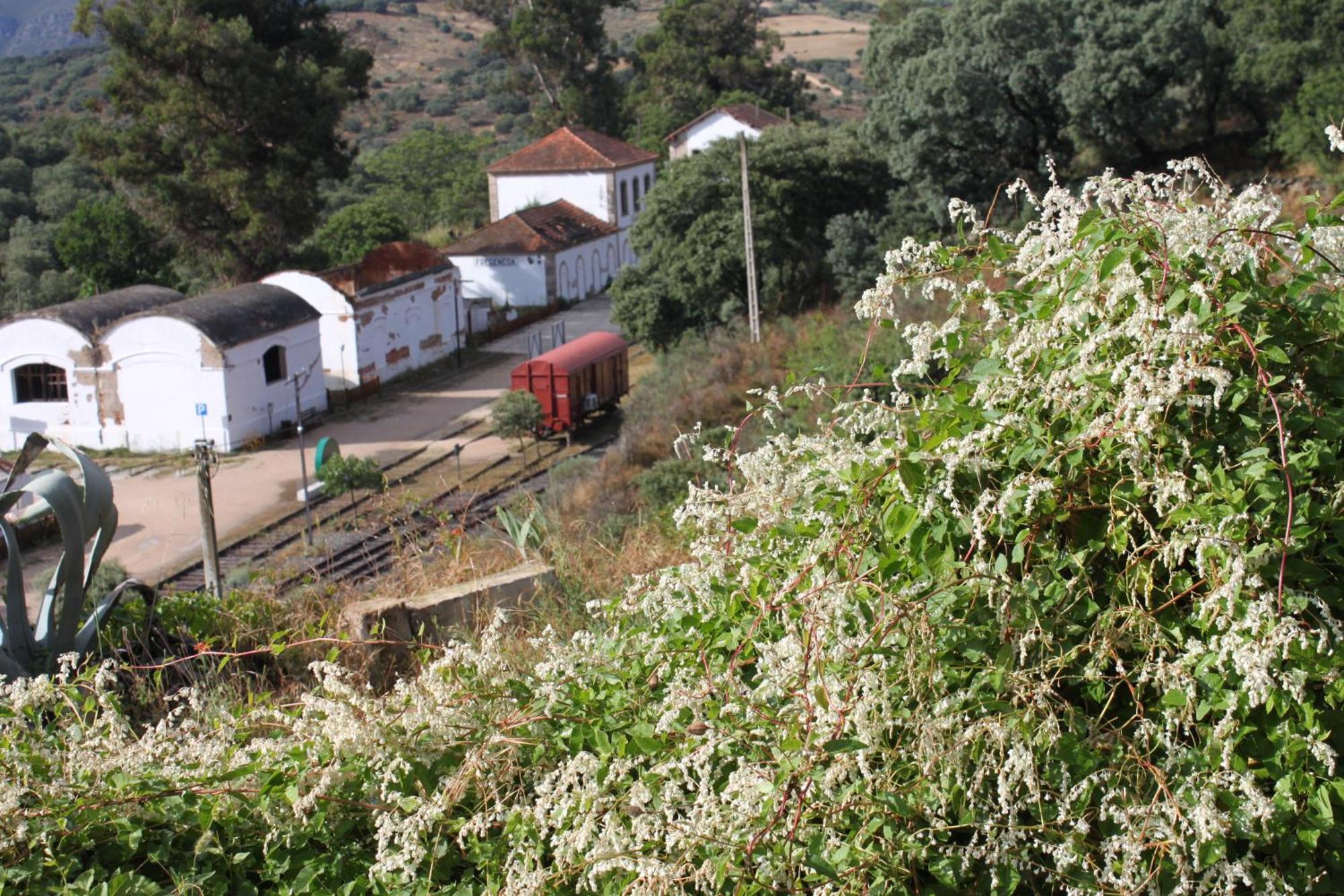 Casa Rural Camino De Hierro I Y II Ла-Фрехенеда Экстерьер фото